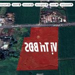 Đất Thổ Đường Nhựa.mặt Tiềnđường Đăng Mỹ, Cách Quốc Lộ 1Km. Đất 4.400M2 Ngang 50M X 84M Nở Hậu, Giá Tốt