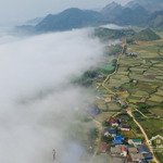 Bán Gấp Đất Nền Tại Chiềng Yên, Vân Hồ, Sơn La, Giá Bán 4,5 Tỷ, Diện Tích 10000 M2