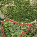 đất trồng cây lâu năm, tổng diện tích: 8889m2, tại thị trấn đinh văn, giá bán 250 triệu / 1 sào