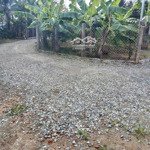 Bán Đất Diên Phước 3 Mặt Tiền Đường Ô Tô Sát Bên Ngã Tư Chợ Diên Phước 106M2 750 Triệu