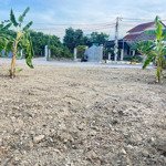 Bán Đất Thôn Đông Dinh, Diên Toàn Giá Đầu Tư. Ac Đầu Tư Lấy Băm Đi Ạ