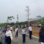 Chính Chủ E Còn Vài Lô Giá Tốt Cho Nđt
