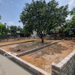 Bán đất tại trung sơn trầm, 3 tỷ, 155m2, mặt tiền 8.15m, ngõ rộng 5m, pháp lý đầy đủ