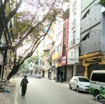 Víp nhất khu bà triệu 320m2 mặt tiền 16m phù hợp các loại hình kinh doanh