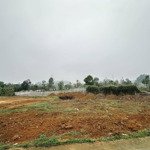 Bán 1986m/200m thổ cư mặt tiền 50m tại đông xuân, quốc oai giá 5, x triệu/m