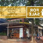 Bán Nhà Riêng Tại 271 Đường Lê Duẩn, Tân Thành, Buôn Ma Thuột, Đắk Lắk, 10 Tỷ, 134.9M2