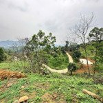 Bán 8400M Đất Khai Hoang Giá Chưa Tới 2 Triệu/M Tại Tiến Xuân, Thạch Thất, Hn