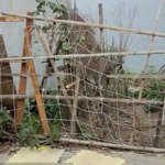 Bán Đất Đằng Hải Hải An Hải Phòng, Ngay Sau Nhà Mặt Ngõ Oto Đỗ Cách 15M, Giá Bán 35.5 Triệu M.