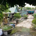 Bán 1,172M2 Đất Full Thổ Cư, Hxt, Tặng Nhà C4+ Dãy Nhà Trọ Thu Nhập 25 Triệu/Tháng, 53.X Tỷ