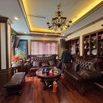 Siêu Rẻ Chỉ Gần 46 Tỷ Có Ngay Siêu Biệt Thự Nguyễn Trãi Thanh Xuândiện Tích89M2 5 Tầng Siêu Vip