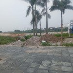Chính Chủ Cần Tiền Gửi Bán Gấp Mảnh Đất Đẹp Xã Tàm Xá. Đông Anh. Hà Nội