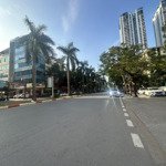 Mặt Phố Phường Văn Quán,Vỉa Hè,Ô Tô Tránh - Kinh Doanh - 8 Tầng Thang Máy - Ccmn Doanh Thu 125 Triệu/Th