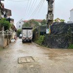 Chính Chủ Gửi Bán Mảnh Đất Làng Hoa Cây Cảnh Phụng Công Văn Giang Hưng Yên Diện Tích 70,