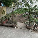 Bán Đất 50M2 Tại Xã Đại Áng, 4,6 Tỷ, Thanh Trì, Hà Nội, Ô Tô Vào Đất