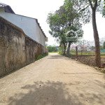 200M2 Đất Phú Mãn; Giá Chỉ 1Xtr/M2