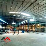 Cho thuê xưởng 5.000m² tại Dĩ An Bình Dương – Đường container, PCCC vách tường, giá chỉ 2.8 USD/m². Liên hệ: Chothuexuongmiennam.com - 0366632092