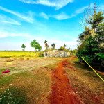 Đất Nền Giá Rẻ View Cánh Đồng Xã Eaktur Chỉ 199 Triệu