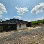 Cho thuê xưởng 1500m2 và 18500m2 đất tại tân an, vĩnh cửu, đồng nai chỉ 40tr, lh 0906694959