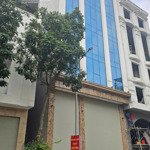 Cho thuê nhà mp phương mai, đống đa 60m, 7 tầng thông sàn thang máy là vp, cửa hàng giá từ 25tr
