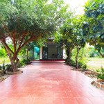Nhà mặt tiền đường nhựa tại cam thành nam, ô tô vào tận cửa, thuận tiện kinh danh, pháp lý sổ đỏ