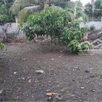 Đất Đường Nội Bộ Duyên Hải Thị Trấn Cần Thạnhdiện Tích16X32M Có 150M2 Thổ Cư Giá Bán 15 Tỷ