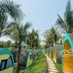 Chính Chủ Cần Bán Lô Góc Vị Trí Cực Đẹp Lk6 - 01 Amdi Việt Đoàn Bắc Ninh; Giá 3,5X Tỷ; Sổ Sẵn