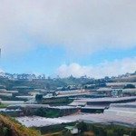 Bán đất tại xuân thọ, đà lạt, 3,8 tỷ, 3000 m2 chỉ với giá tốt