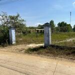 Lô đất 973m2 thổ cư thôn nam, xã ninh tân, gần dt5, giá chỉ 2.9 tỷ