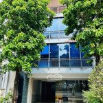 Nhà đường hoàng hoa thám 8x18m trệt 4 lầu cho thuê