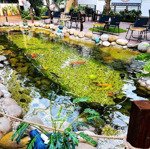 Cho thuê quán cafe 1500m2 tại phú hoà thủ dầu một bình dương