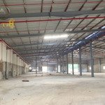 Cho thuê kho, nhà xưởng 3000m2 tại đường 767, xã tân an, vĩnh cửu, đồng nai, 90 triệu