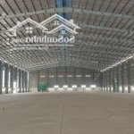 Nhà xưởng đang trống cần mời chào cho thuê 2000m2 4000m2 7800m2 tại kcn tp nam định pccc tiêu chuẩn