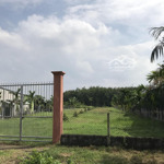 Cần bán đất 2000m2 ở củ chi, tphcm