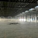 Cho thuê kho xưởng 10.000m² có pccc tự động và trạm điện 3 pha, trong khu công nghiệp trà nóc, tp. cần thơ, lộ container