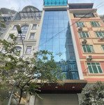 Toà Mặt Phố Lạc Long Quân 8 Tầng Thang Máy, Kinh Doanh Tốt, Mặt Tiền 6M Vỉa Hè Rộng, Giá: 43.5 Tỷ