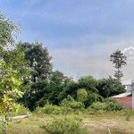 Hạ Giá Bán Nhanhmặt Tiềnđ.902, Gần Chợ Mỹ An, Vĩnh Long, 700 Triệu/120M2, Shr, Sang Tên Trong Ngày.