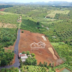 Bán đất 551,7m2, 4,97 tỷ tại đường 20, xã đinh trang hoà, di linh, lâm đồng