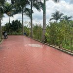 Bán nhà vườn nghỉ dưỡng 6.450m2 gần bv nhi đồng bình chánh