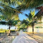 Bán lô biệt thự 2 mặt tiền view trực diện sông tắc hòn một nha trang giá chỉ 29.5tr/m2