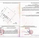 190m² đất mở đầu cho giấc mơ về một ngôi nhà giữa rừng thông di linh