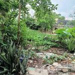 Tôi bán đất đẹp hiệp phú, q9,90m2, ngang 6.5m, vuông như a4, giá 5.6 tỷ làm việc chính chủ