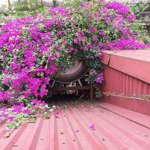 Cho thuê nhà mặt phố trần quang khải, dtsd 65m2, hoàn kiếm, hà nội
