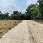 Hơn 300 Triệu Sở Hữu Ngay Lô Đất 125M2 Full Thổ Cư