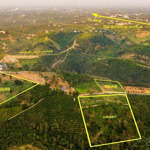 đất siêu đẹp - giá đầu tư cần bán lô đất vị trí đẹp khu đồi săn mây tại tân lạc, bảo lâm, lâm đồng