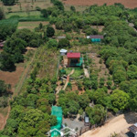 Bán Đất Tại Xã La Ngà, Định Quán, View Siêu Đẹp Giá Siêu Hời 853 Triệu, 1000 M2