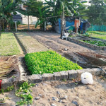 Bán 2 Lô Đất Liền Kề Đường Đào Văn Tiến Gần Chợ Vĩnh Hải Nha Trang
