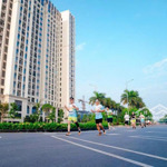 Ban quản lý tòa nhà cập nhật quỹ căn chuyển nhượng tại chung cư moonlight an lạc green symphony