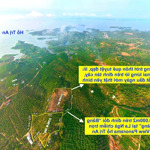19.000M2 View Panorama Hồ Trị An , Gần Nhiều Khu Du Lịch Đẳng Cấp Quốc Tế , 499 Triệu/1000M2