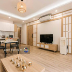 Bán siêu phẩm apartment mặt phố nguyễn trường tộ 220m2 x 11 tầng hầm - 40 căn hộ 6 tỷ/năm - 158 tỷ
