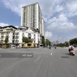 Bán Đất Phố Hồng Tiến, Long Biên 150M2, Mặt Tiền 7M, Đường Ô Tô Tránh Nhau, Dừng Đỗ Giá Bán 25 Tỷ